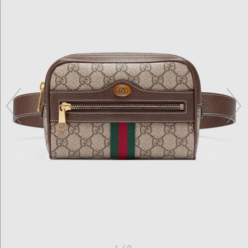 New Gucci Belt bag